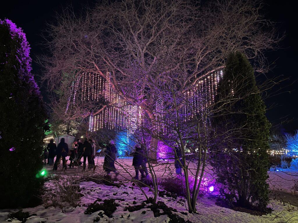 Winter Wonders, Royal Botanical Gardens, Burlington