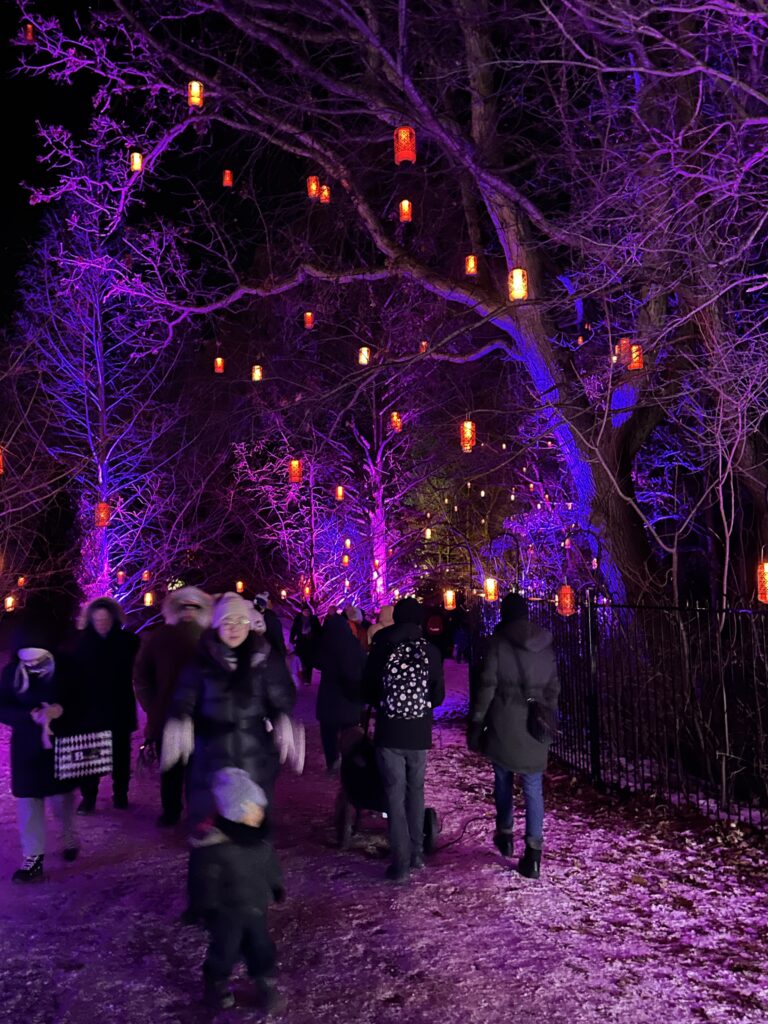Winter Wonders, Royal Botanical Gardens, Burlington