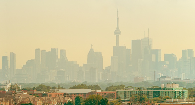 urgences, feux de forêt