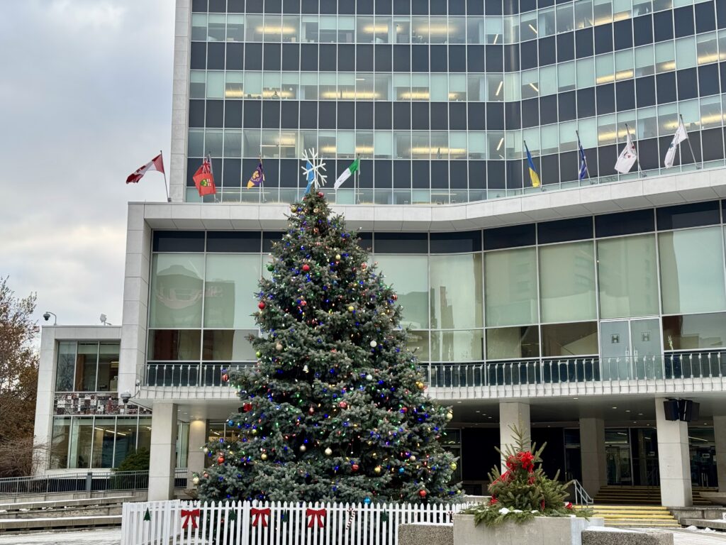 jouets, contraventions, Hamilton