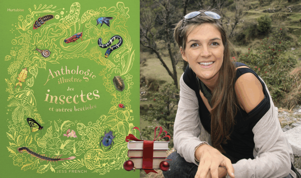 Jess French, Anthologie illustrée des insectes et autres bestioles
