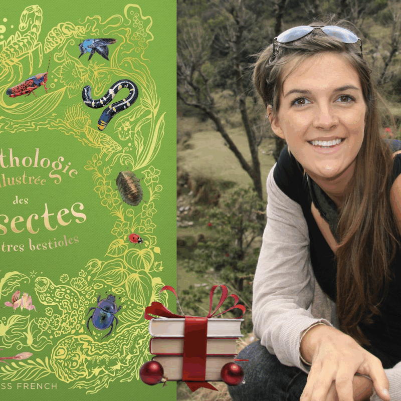 Jess French, Anthologie illustrée des insectes et autres bestioles