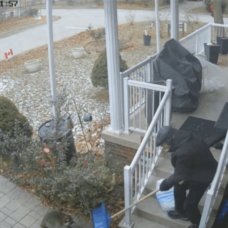 Gérard Lévesque attaqué par un raton laveur chez lui en décembre.