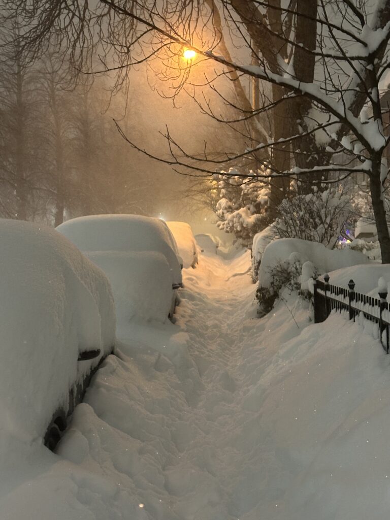 hiver, tempête, 25 janvier