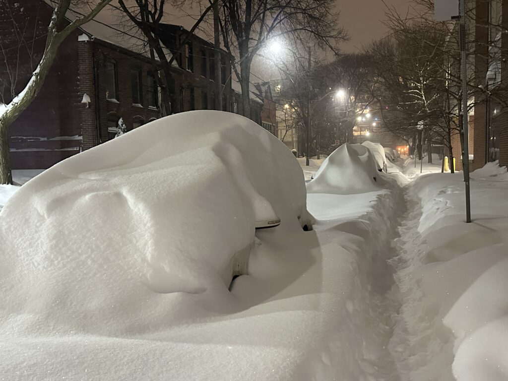 hiver, tempête, 25 janvier