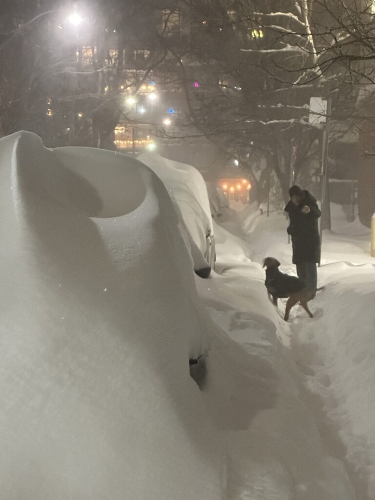 hiver, tempête, 25 janvier