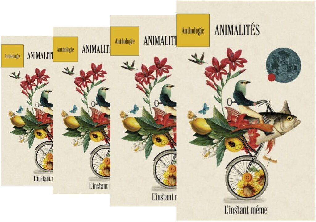 animaux, Collectif, Animalités, nouvelles