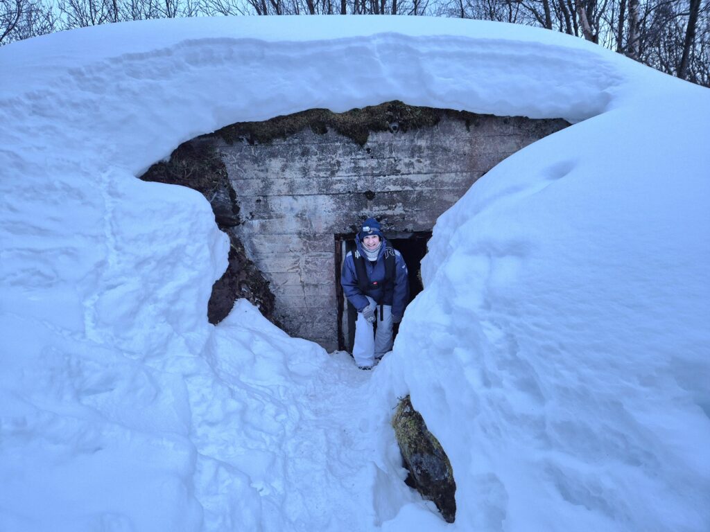 aurores boréales, Norvège navire MS Spitsbergen HX Expeditions