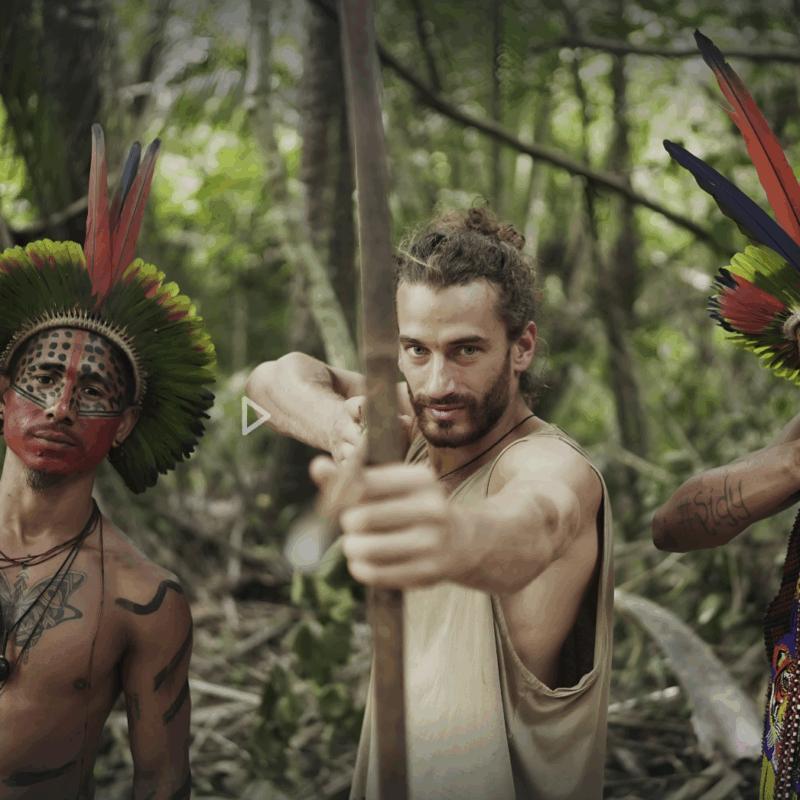 Les Vivalistes, TV5