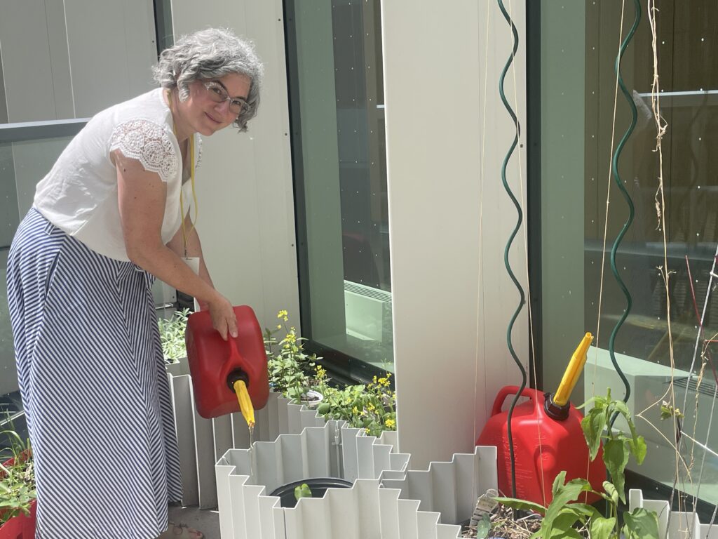 Agriculture urbaine