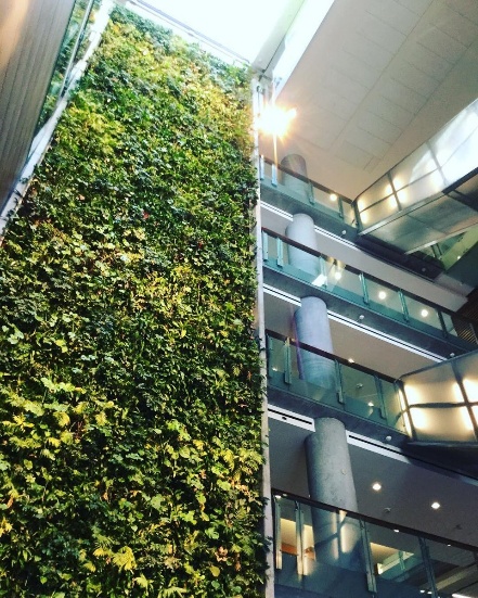 vert, écolo, environnement