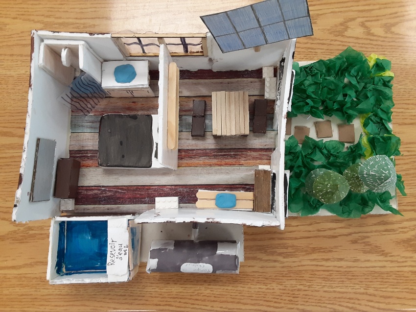 vert, écolo, environnement