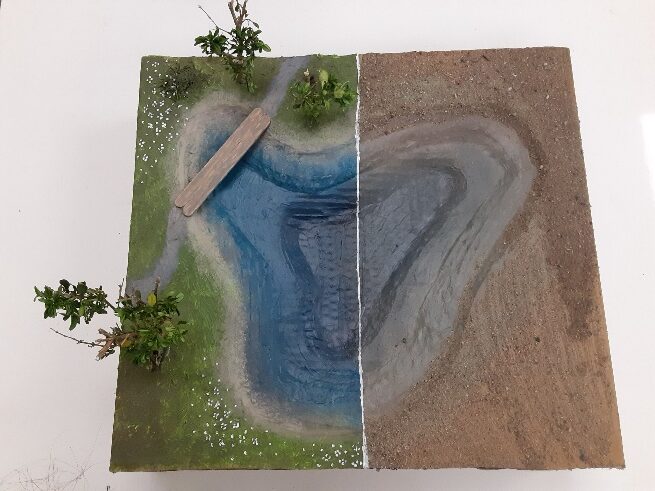 vert, écolo, environnement