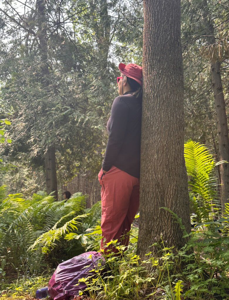 Bains de forêt