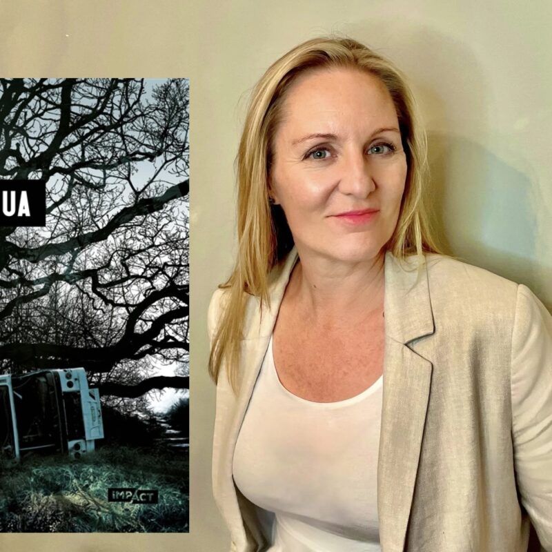thriller, Jo Furniss, Culpa Tua