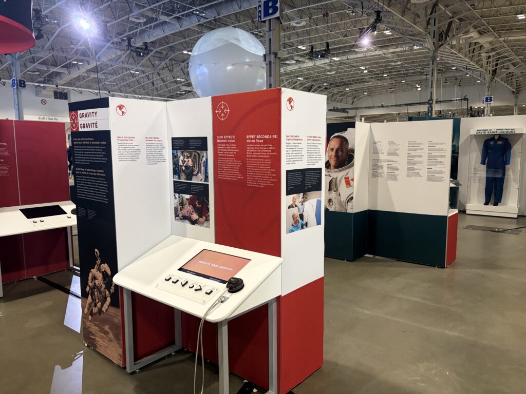 CNE