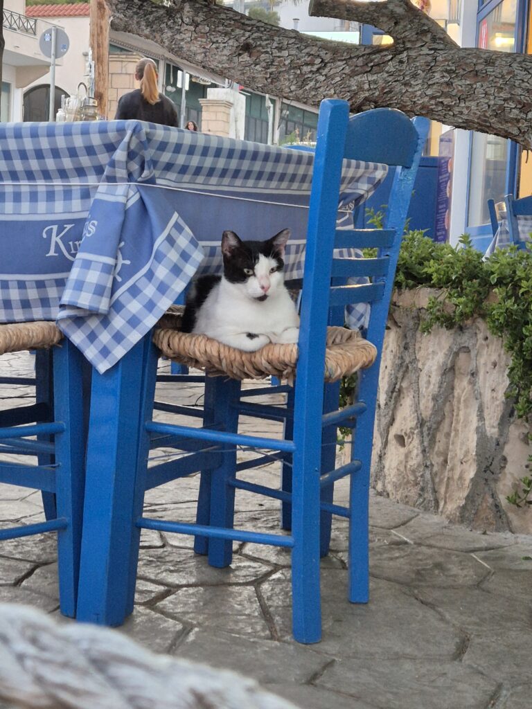 chat