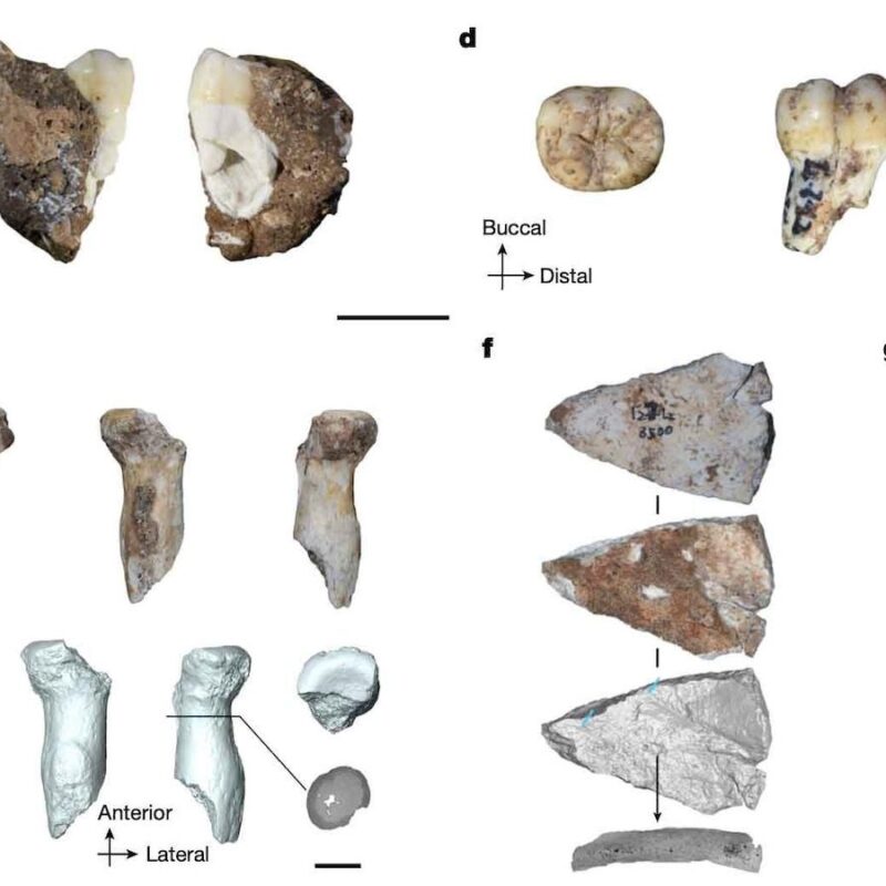 Denisoviens