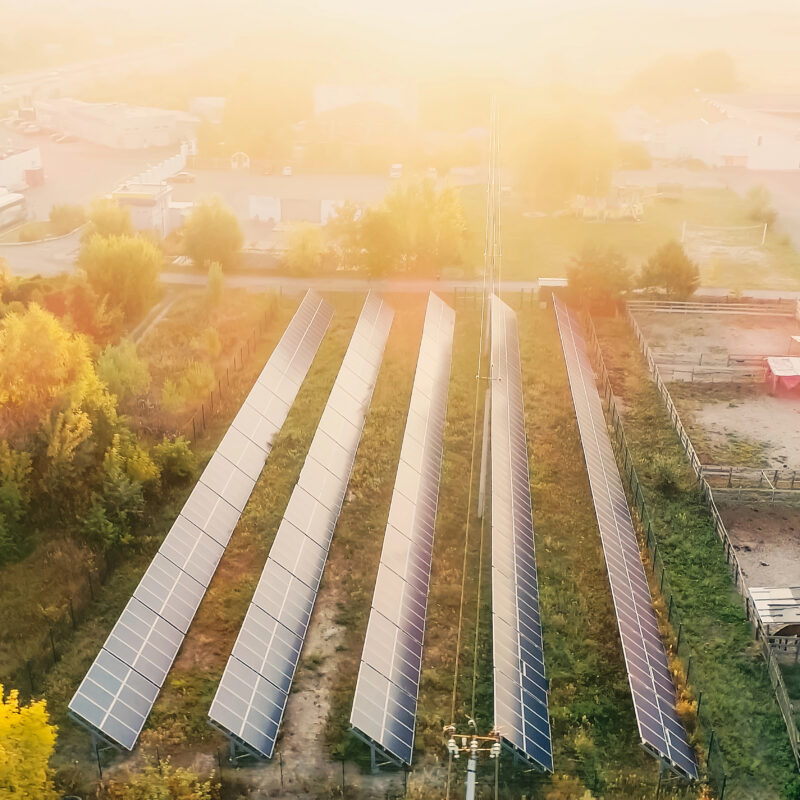 panneaux solaires, plantations