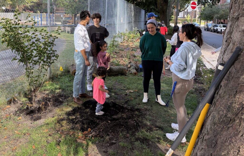 École Gabrielle-Roy : d’une inquiétude, un jardin a pris racine
