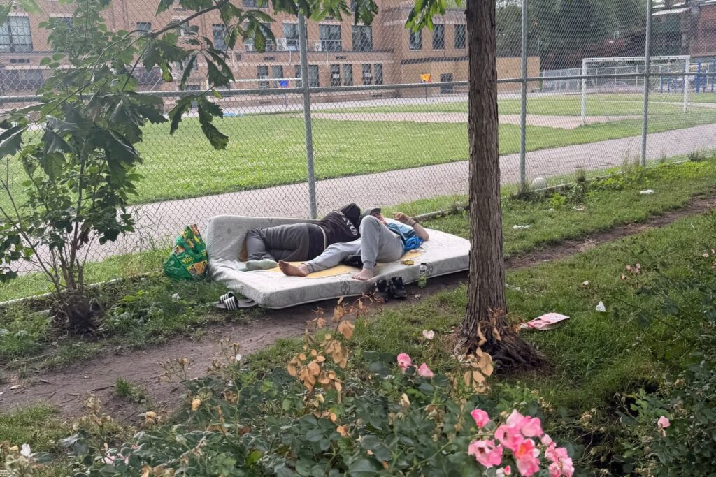 École Gabrielle-Roy : d’une inquiétude, un jardin a pris racine