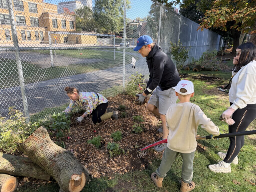 École Gabrielle-Roy : d’une inquiétude, un jardin a pris racine