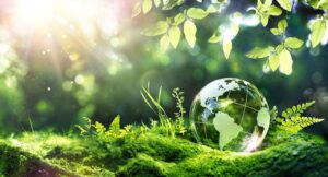 environnement, environnementales