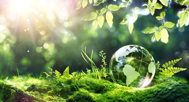 environnement, environnementales