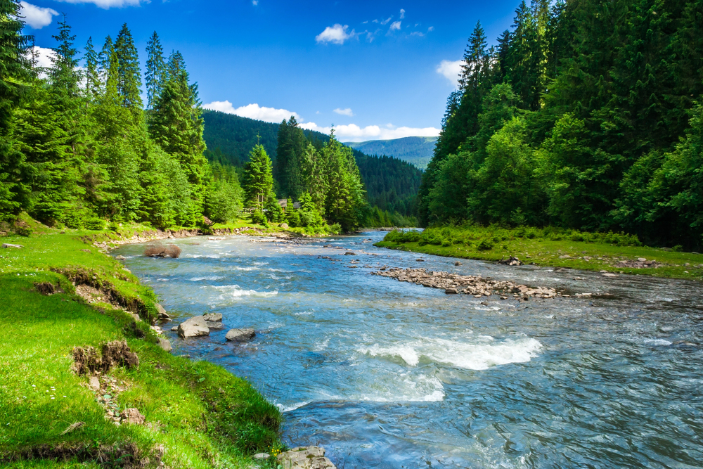 environnement, environnementales